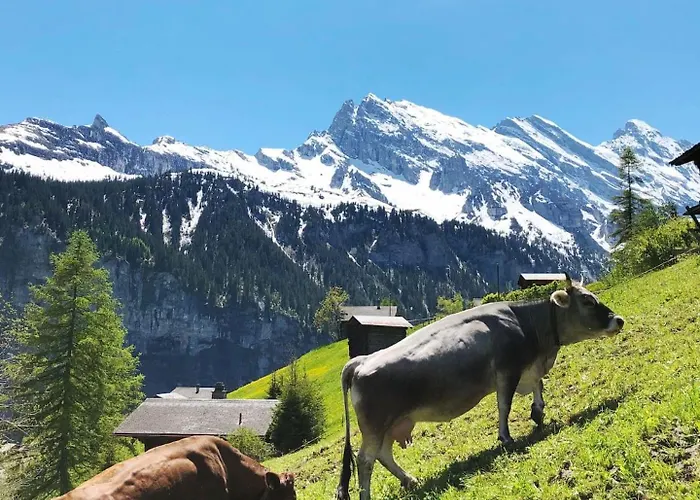 Unesco Queen Bed & Fast Wifi Apartamento